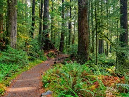 2-Minute SOBER (Non-Reactivity) Practice