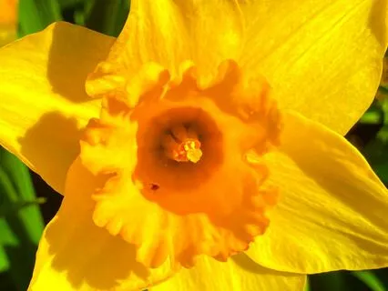 2-Minute Song For Centering, Bless You Lord