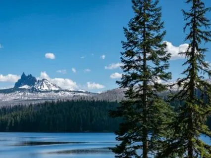 2 Minutes Of Stillness (Disrupting The Daily Race)