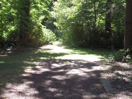 2 Minutes Sound Bath To Clear Mental Clutter