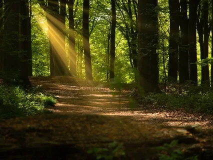 2/22 Channeled Energy Work Meditation: Djehuty & Metatron