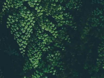 2-Round Shamanic Drum Clearing Breath