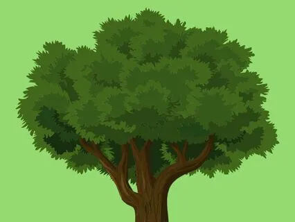 2 The Natural World Sleep Series - Variation