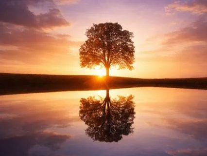 #2 - Where Inner Clarity Begins