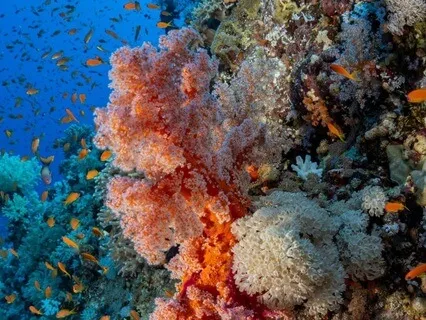 2. With Every Breath, I Return To Myself