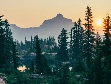 20/22 Channeled Energy Work Meditation: Djehuty & Metatron