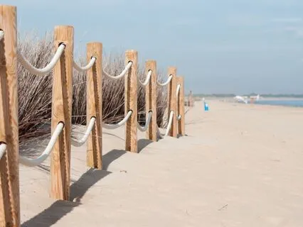 WOW 20/50: The Power Of Saying No