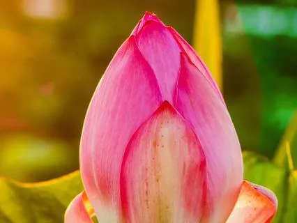 20 Affirmations To Fall Asleep To