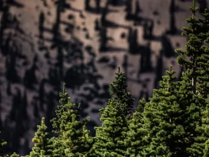 20. Ascension Of Thought [Advanced]