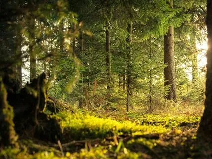 20-Min Ambient Music - "Infinite Horizons"