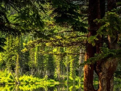 20-Minute Meditation For Stress Relief, Muscle Relaxation