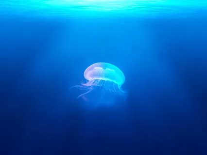 Relaxation Medley For Sleep And Relaxation