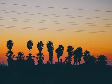 20 Min Of Deep Focus With Moroccan Guembri Bass And Rain