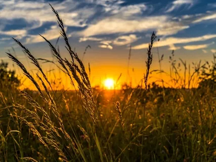 20 Minute Silence With Bells