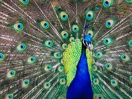 20 Minute Sitting Exercise