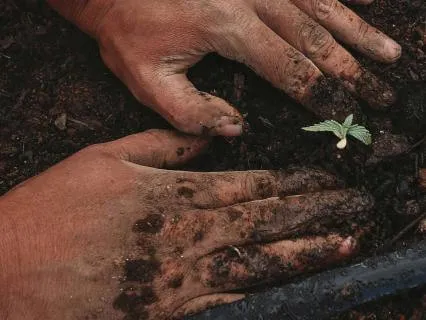 20-Min Yoga Nidra For Plantings Seeds Of Trust