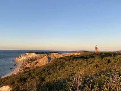 20 Mins Of Metta Meditation 