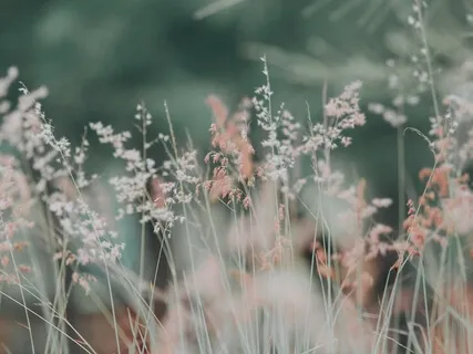 Body Scan For Stronger Body Connection