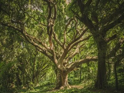 20 Minute Body Scan Breathing For Stress And Anxiety Relief