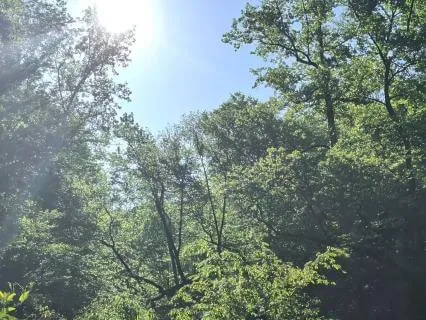 20 Minute Body Scan to Calm Your Mind