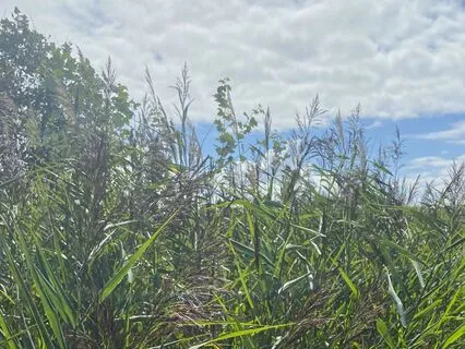 Box Breathing For A Count Of 5 (20 Minutes)