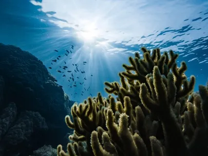 Breath Work - SOMA Hyper Dose 