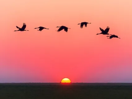 20 Minute Centering Prayer with Transition Exercise