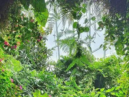 20-Minute Full Body Relaxation NSDR