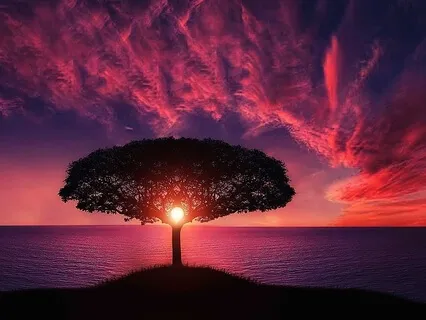 20-Minute Gong Bath With Drumming