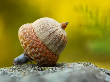 Awareness Of Breath For Focus & Concentration