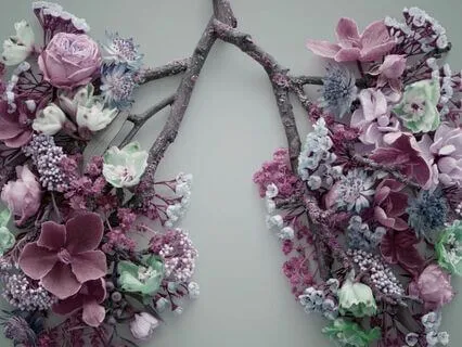 20-Minute Breath Meditation