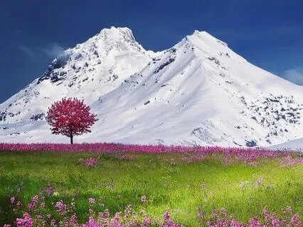 20-Minute Guided Yoga Nidra For Restoration