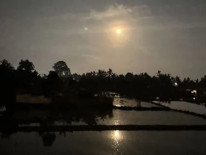 20-Minute Manifestation Meditation Align & Attract Abundance