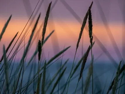 20 Minute Practice - 40 Days To Personal Revolution