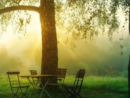 20-Minute Meditation: Cleansing Through The Breath