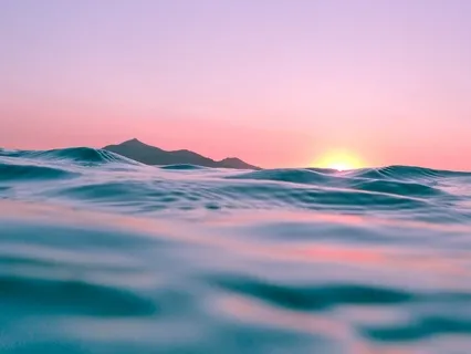 Journey To Whole Body Happiness