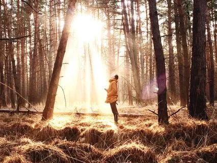 20 Minute Meditation For Perfect Health