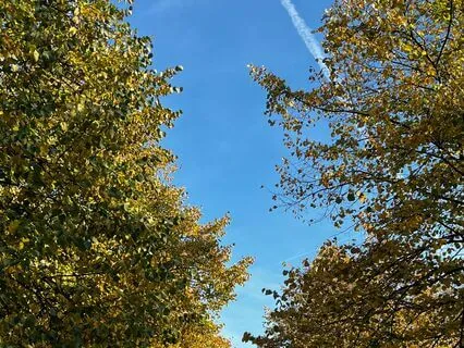 20-Minute Meditation To Feel Calm: Senses Scan & Breath