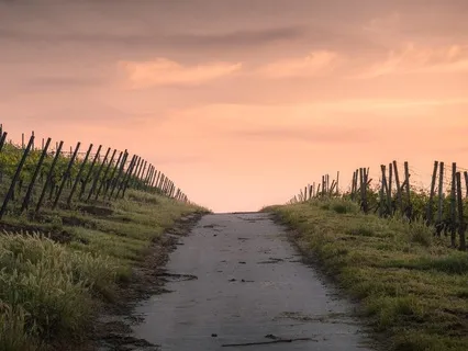 20-Minute Mindful Walking Meditation