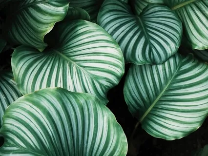 20 Minute Mindfulness Practice For Acceptance