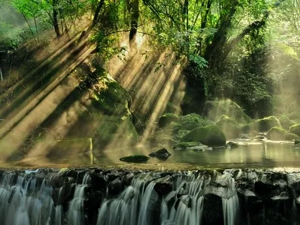 20 Minute Nap - Secret Garden