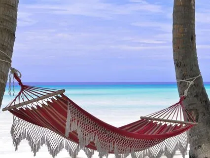 20-Minute Power Nap - On A Hammock