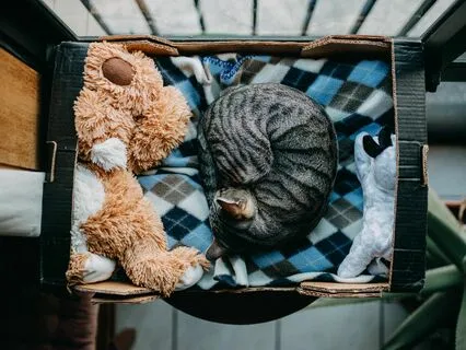 20-Minute Yoga Nidra For Better Sleep