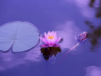 20-Minute Yoga Nidra For Deep Rest