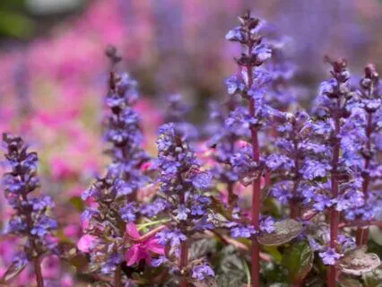 20 Minute Yoga Nidra For Experiencing Wholeness