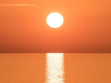 20 Minute Yoga Nidra For Nervous System