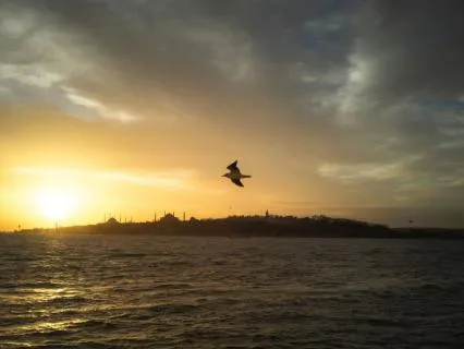 20 Minute Yoga Nidra Meditation