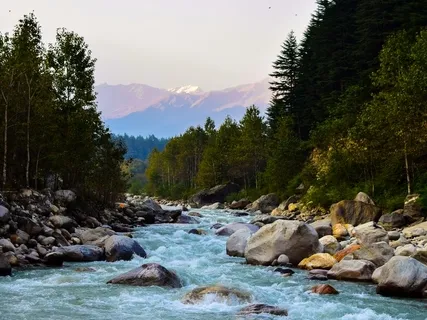 20 Minutes At Paradise Park