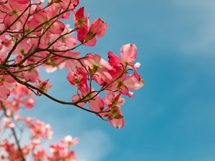 20-Minute Mindfulness Meditation To Eliminate Stress