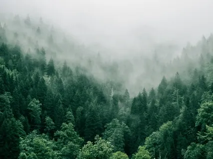 20 Minutes To Feel Relaxed, Grounded & At Peace - A Guided Visualization